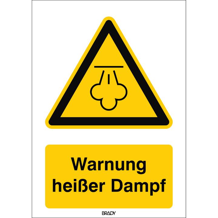 Actual product image Brady W/W080/DE439-ALU-148X210/1, ISO safety sign - Warning hot steam