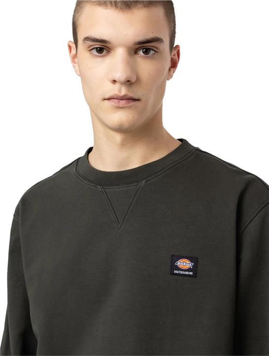 Immagine prodotto Dickies Mount Vista Crew (S)