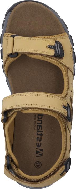 Image du produit Westland 17501-TE508 (43)