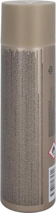 Produktbild Kevin Murphy Session.Spray (400 ml)