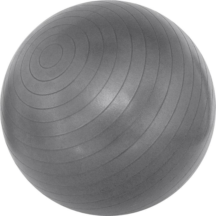 TheraBand ABS Gymnastikball (85 cm)