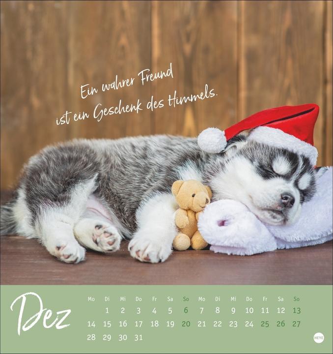 Actual product image Ziemlich beste Freunde Postkartenkalender 2026 - Für immer dein (Hardcover, German)