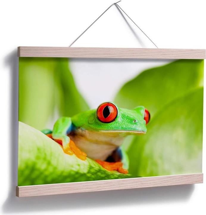 Image du produit Trenddeko Pétard (160 x 105 cm)