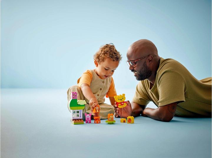 Actual product image LEGO Winnie the Pooh's birthday party (10457)
