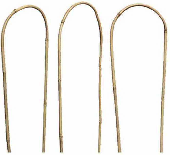Produktbild Siena Garden Rankhilfe, Wachstumshilfe, bambus, 60x20x2,5cm, 436427 (60 cm, 20 cm)