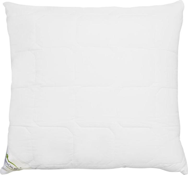 Actual product image Traumschlaf Thinsulate layer cushion (80x80 cm)