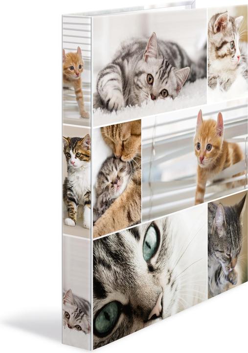 Produktbild HERMA Katzen (A4, 35 mm, 1 Stück)