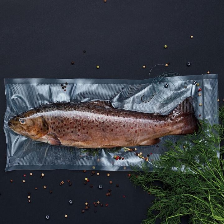 Actual product image Wilfa Vacuum sealer TROUT