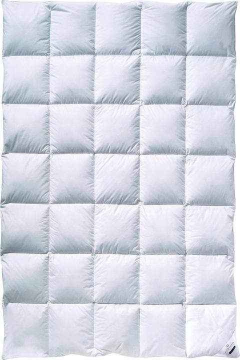 Actual product image Billerbeck Clivia 90 (155 x 220 cm)