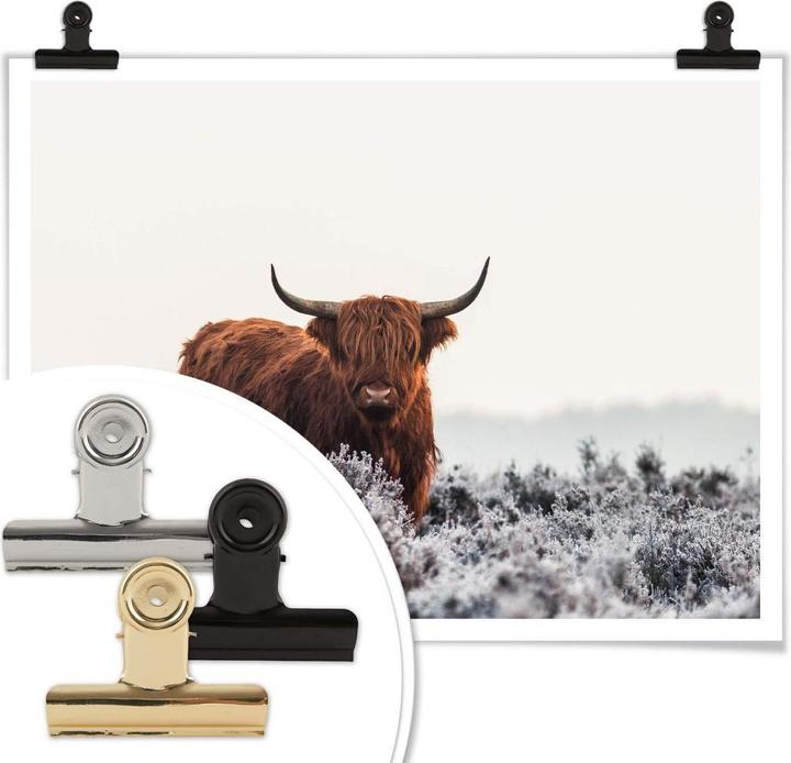 Immagine prodotto Trenddeko van den Helm - Highlander (30 x 24 cm)