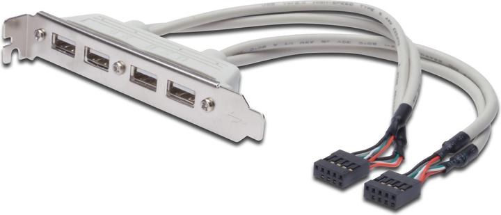 Actual product image Digitus ASSMANN USB bracket cable 4x type A - 2x10pin IDC Bu/Bu 0.25m USB 2.0 compatible be