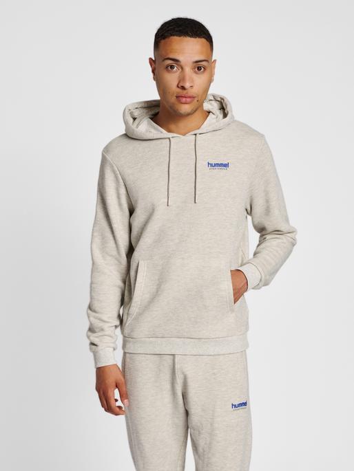 Actual product image hummel Lgc Austin Hoodie (XXL)