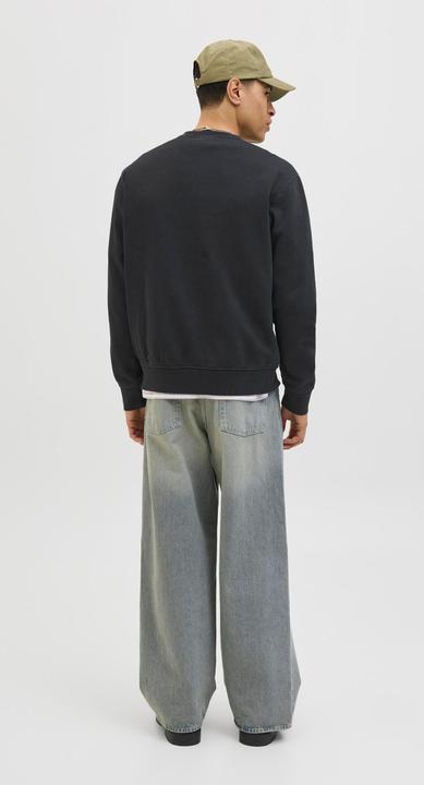 Immagine prodotto Jack & Jones Jjedover Print Sweat Crew Neck (M)