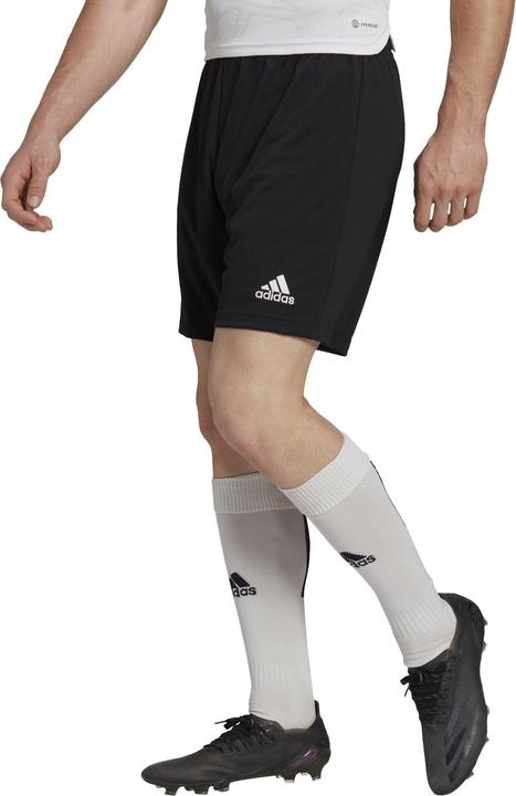 Actual product image adidas Spodenki Entrada Tw22 (XXL)