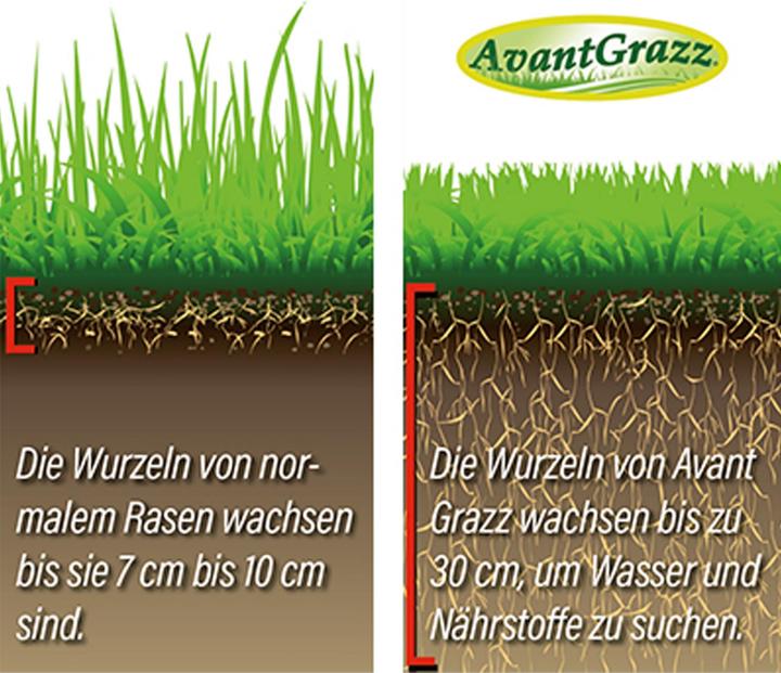 Produktbild Best direct Avant Grazz