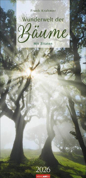 Produktbild Wunderwelt der Bäume Kalender 2026 (33 x 68 cm, Deutsch)