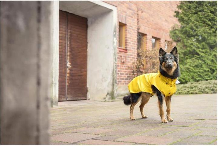 Image du produit Rukka Flux (45, Manteau pour chien)