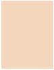 Image du produit L'Oréal Paris Infaillible (10 Bright Nude)