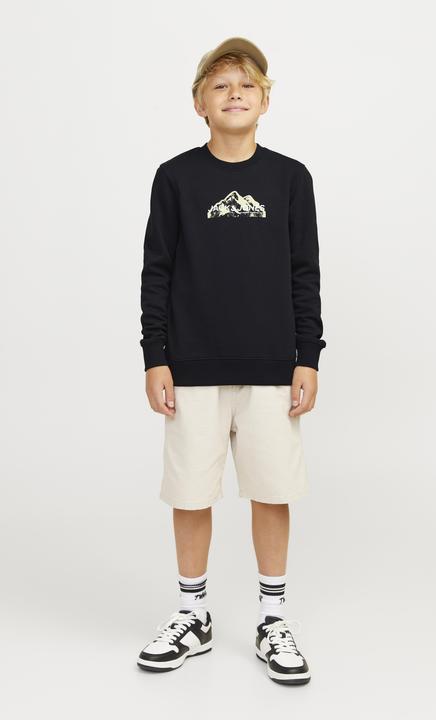 Actual product image Jack & Jones Jcomountain Logo Sweat Crew Neck Sn Mni (98)
