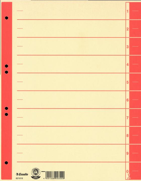 Actual product image Esselte Dividers