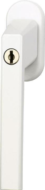 Abus Fg110
