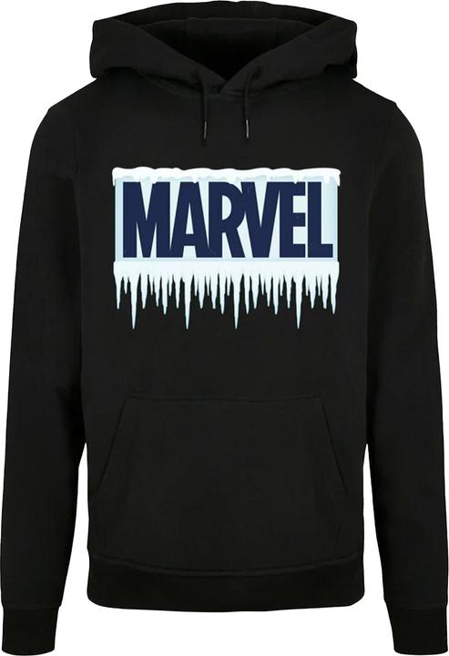 Produktbild Icicle Logo Kapuzenpullover (4XL)