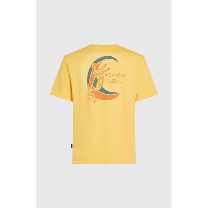 Actual product image O'Neill O'Riginals Vintage Graphic T-Shirt (S)