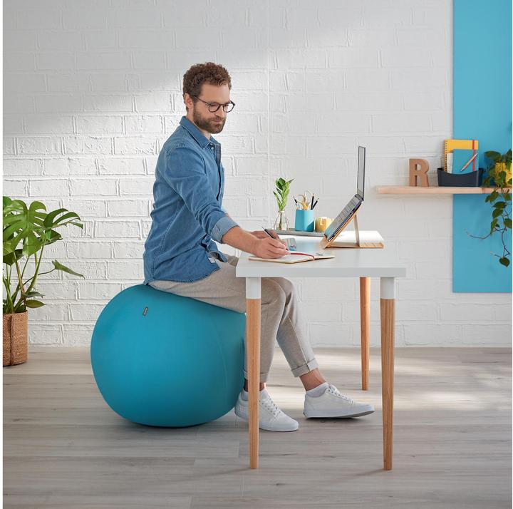 Image du produit Leitz Ballon-siège Ergo Cosy Active (65 cm)
