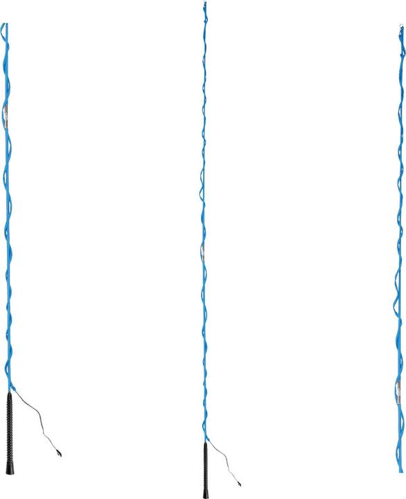 Actual product image Waldhausen Dismountable riding whip