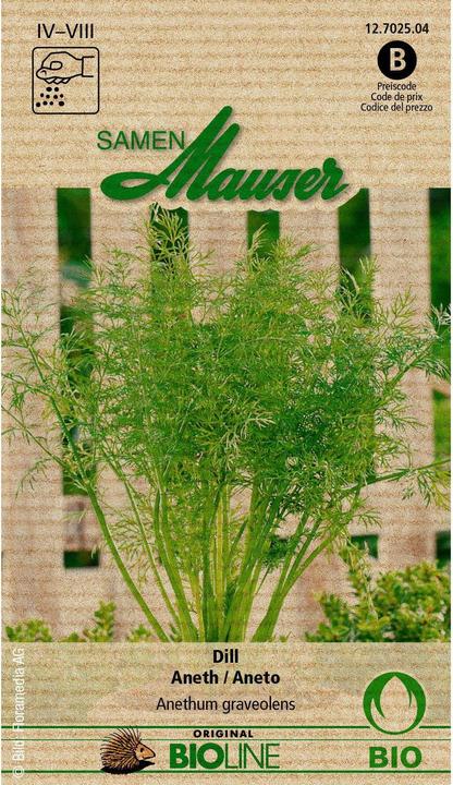 Samen Mauser Organic dill (Herb seeds)