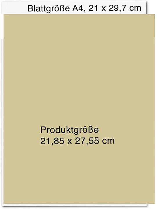 Produktbild Bob Dylan: Mixing Up the Medicine (Deutsch, Harriet Fricke, Mark Davidson, Parker Fishel, Brigitte Jakobeit, Miriam Mandelkow, Ulrike Strerath-Bolz, Hella Reese, 2023)