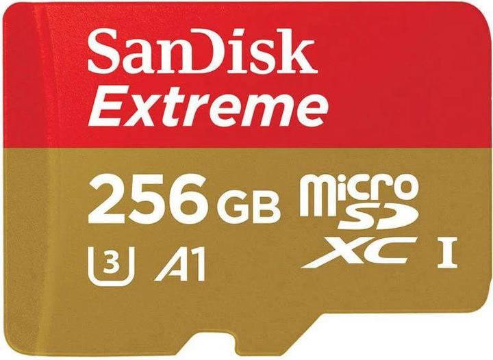 Realwear Carte Micro SD 256 Go SanDisk Extreme (256 Go, microSDXC, U3, UHS-I)