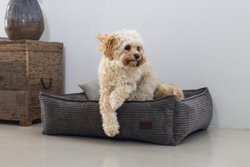 Actual product image Designed by Lotte Ribbed (Dog)