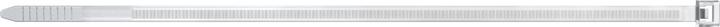 Produktbild Fischer Fisc D?bel SX GREEN 12x60 S K 3 524828 (Metallkabelbinder, 300 mm, 100 Stk.)