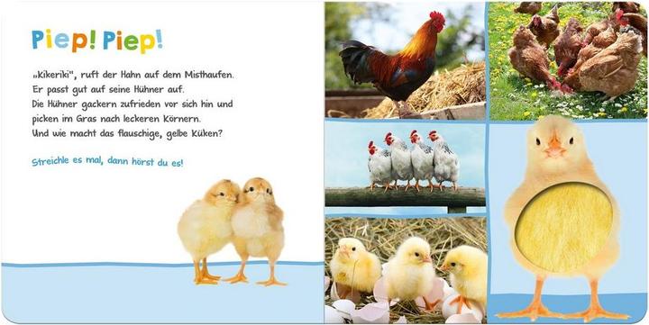 Actual product image Listen, who could that be? Farm animals (German)