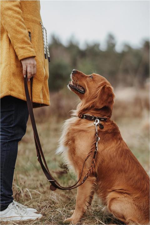 Actual product image Hunter Solid Education Cord Dog Leash (Dog, General)