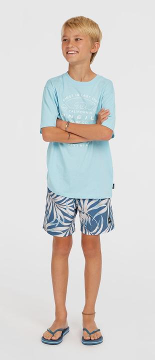 Immagine prodotto O'Neill CALI 14" SWIMSHORTS (104)