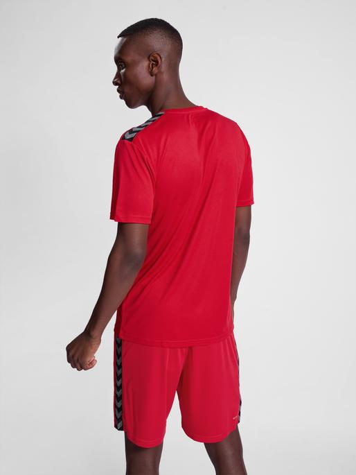 Image du produit hummel Hmlauthentic Pl Jersey S/S (L)