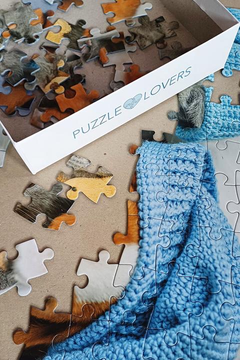 Produktbild Selecta Spielzeug Puzzle Süsses Kätzchen und schläfriger Hund, 100 Teile. (100 Teile)