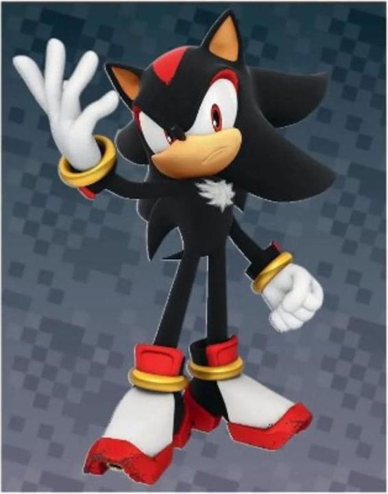 Image du produit Panini Sonic the Hedgehog Sticker Collection Album *Versions allemandes*.