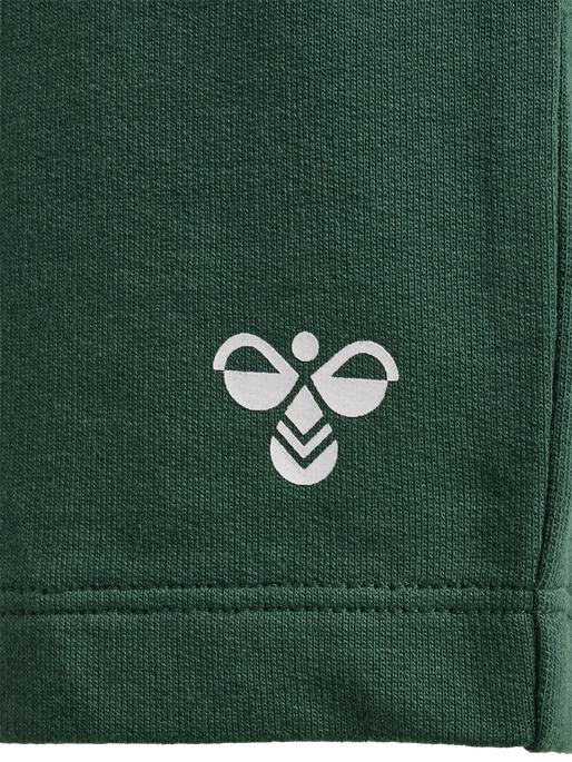 Actual product image hummel Hmltrue shorts (68)