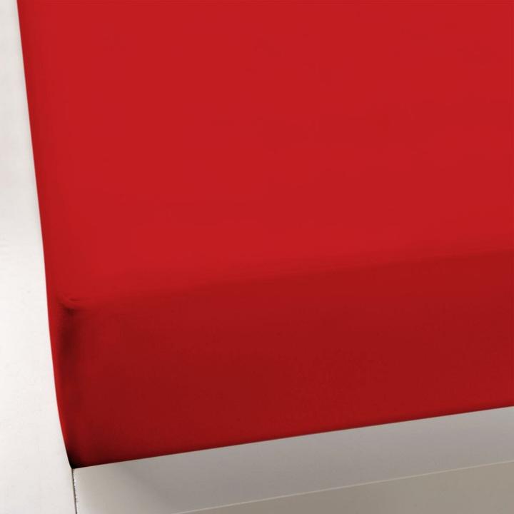 Actual product image Formesse Jersey fitted sheet Bella Gracia (100x200 cm)