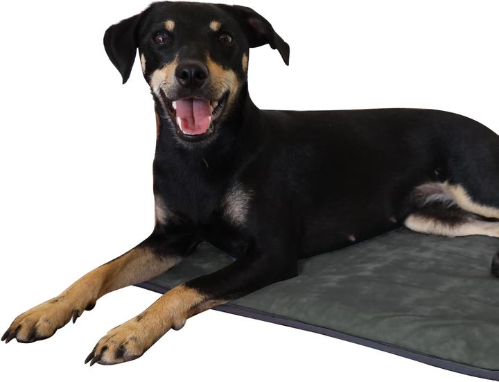 Produktbild Aspero Hundedecke Lund (Hund)