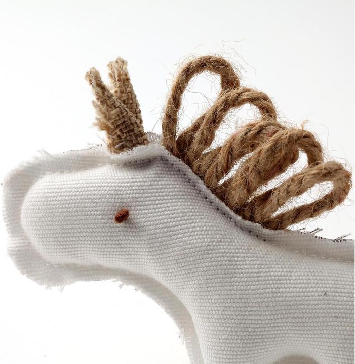 Actual product image Anijoy Cat Toy Fury (Plush toy cat)