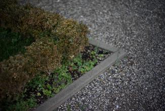 Image du produit Voigtländer Nokton 50mm / 1.2 VM asph. (Leica M, Plein format)
