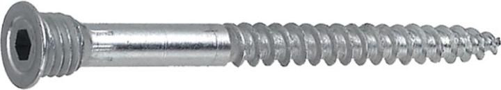 Image du produit Toproc Topfix-H (100 Vis par pièce)