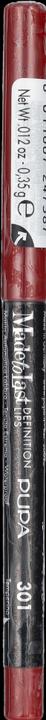 Actual product image Pupa Milano Made to Last Definition Lips Terra di Siena (301 Terra Di Siena)