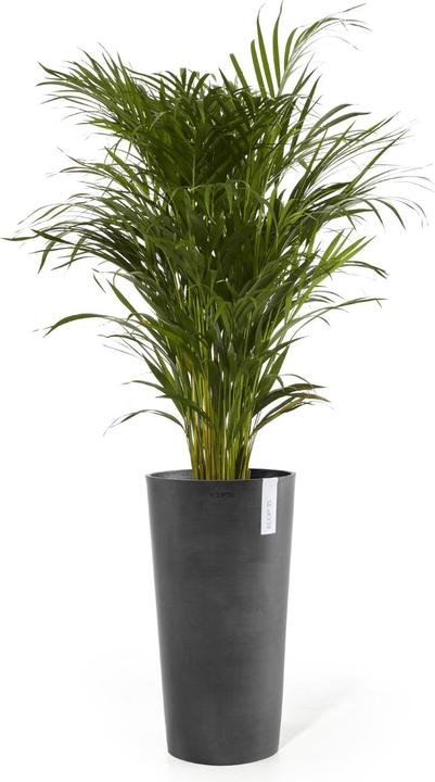 Produktbild Ecopots Amsterdam High (41 cm)