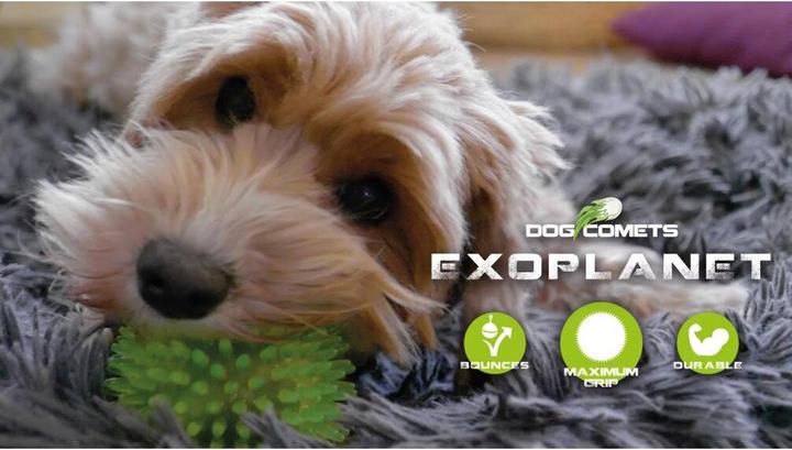 Actual product image Dog Comets Exoplanet Orange M (Ball toy dog)