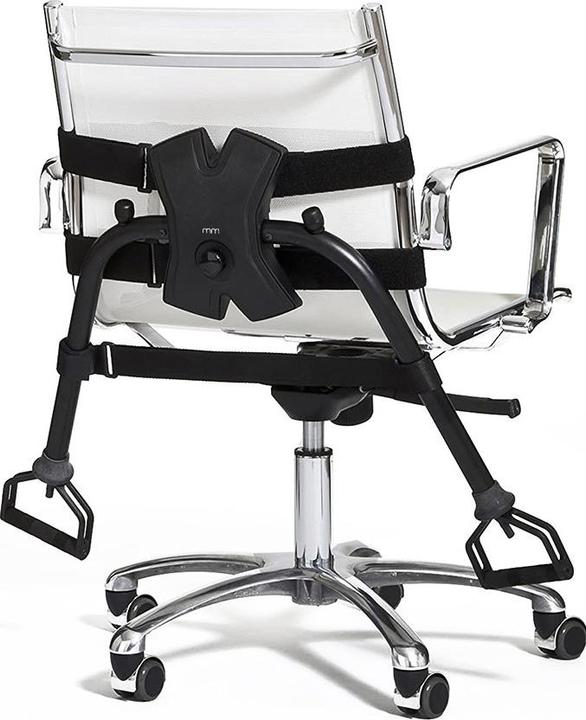 Actual product image Mikamax Chair Gym